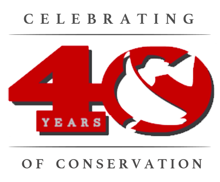 CELEBRATE40CCA_dark.png