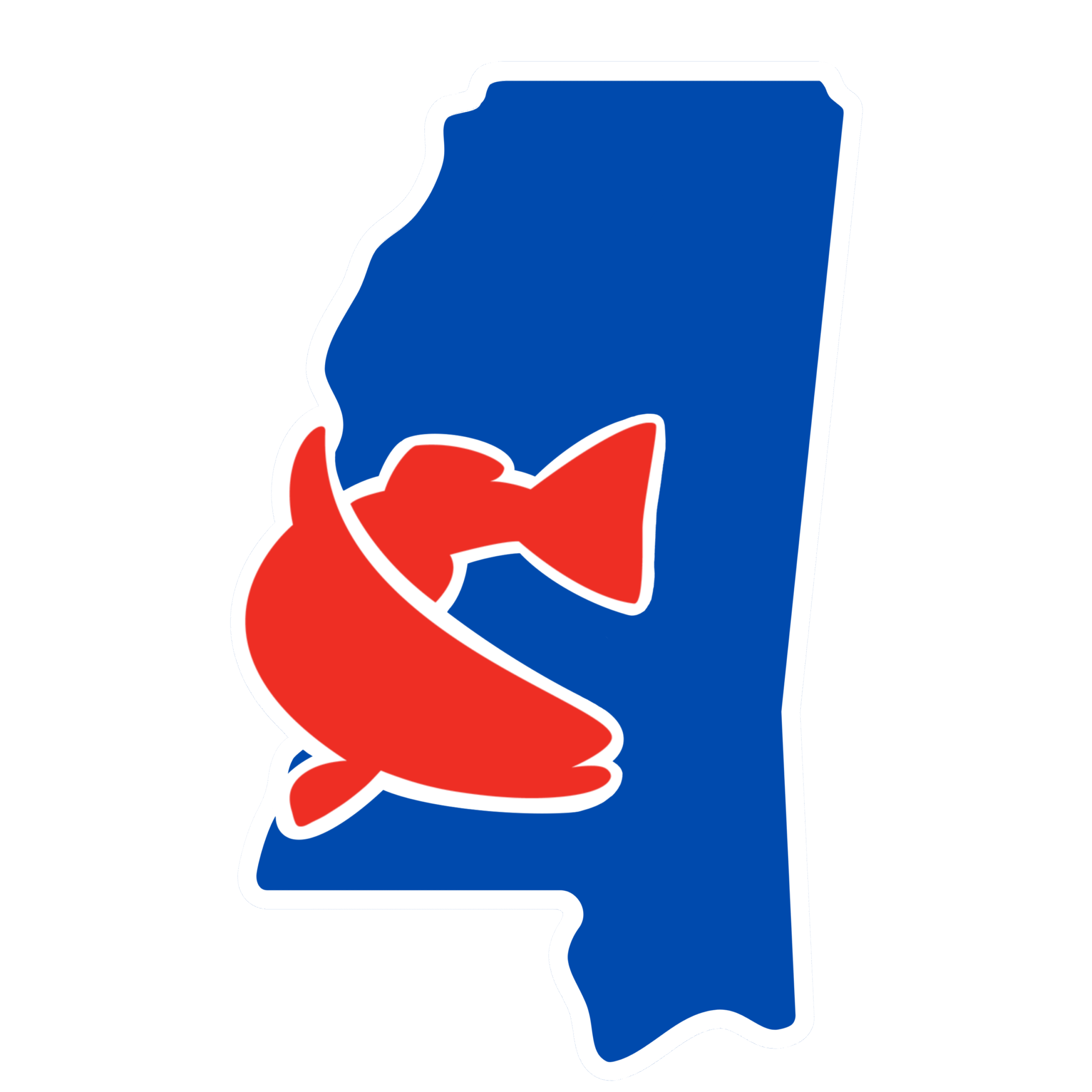 CCAMS LOGO 2025